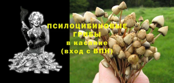 MESCALINE Алзамай