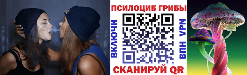 Галлюциногенные грибы Psilocybine cubensis Жуков