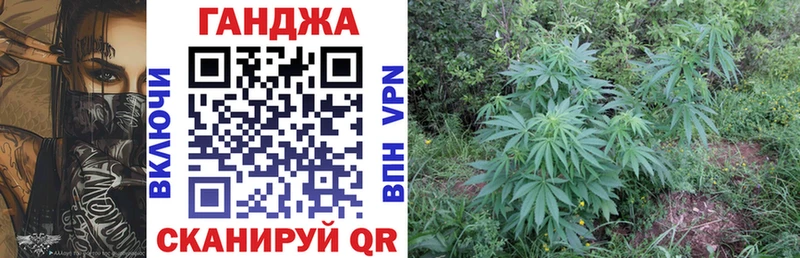 дарк нет клад  Жуков  Бошки марихуана гибрид  что такое наркотик 